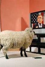 Watch Educating The Sheeple 0123movies