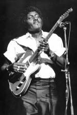 Watch Albert Collins in Concert 0123movies
