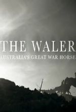 Watch The Waler: Australia\'s Great War Horse 0123movies