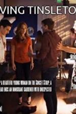 Watch Driving Tinseltown 0123movies