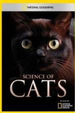 Watch National Geographic Science of Cats 0123movies