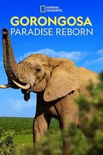 Watch Gorongosa: Paradise Reborn (Short 2022) 0123movies