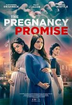 Watch The Pregnancy Promise 0123movies