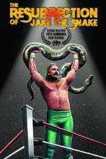 Watch The Resurrection of Jake The Snake Roberts 0123movies