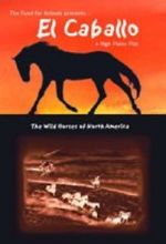 Watch El Caballo: The Wild Horses of North America 0123movies