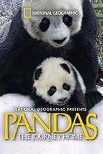 Watch Pandas: The Journey Home 0123movies