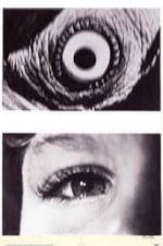 Watch The Searching Eye 0123movies