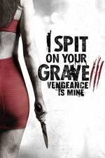 Watch I Spit on Your Grave 3 0123movies