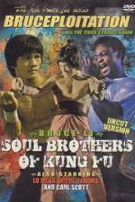 Watch Soul Brothers of Kung Fu 0123movies