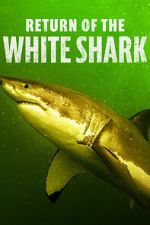 Watch Return of the White Shark 0123movies