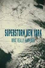 Watch Superstorm New York: What Really Happened 0123movies