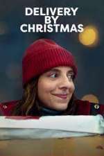 Watch Delivery by Christmas 0123movies