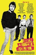 Watch I Was a Teenage Sex Pistol 0123movies
