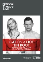 Watch Cat on a Hot Tin Roof 0123movies