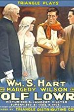 Watch Wolf Lowry 0123movies