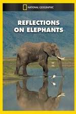 Watch Reflections on Elephants 0123movies
