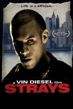 Watch Strays 0123movies