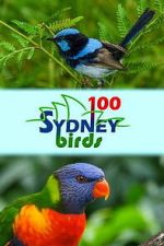 Watch 100 Sydney Birds 0123movies