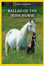 Watch Ballad of the Irish Horse 0123movies