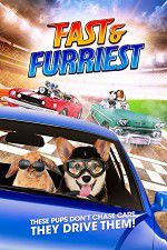 Watch Fast and Furriest 0123movies