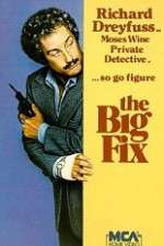 Watch The Big Fix 0123movies