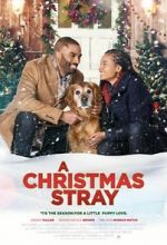 Watch A Christmas Stray 0123movies