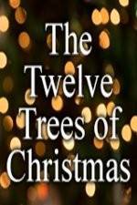 Watch The Twelve Trees of Christmas 0123movies