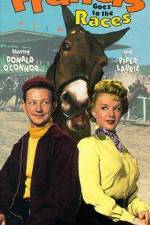 Watch Francis Goes to the Races 0123movies