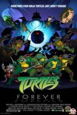 Watch Teenage Mutant Ninja Turtles Turtles Forever 0123movies