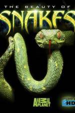 Watch The Beauty of Snakes 0123movies