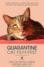 Watch Quarantine Cat Film Fest 0123movies