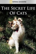 Watch The Secret Life of Cats 0123movies
