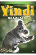 Watch Yindi the Last Koala 0123movies