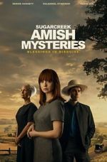 Watch Sugarcreek Amish Mysteries: Blessings in Disguise 0123movies