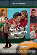 Watch Meet Cute in Manhattan 0123movies