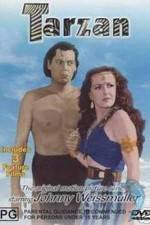 Watch Tarzan's Desert Mystery 0123movies