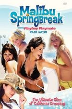 Watch Malibu Spring Break 0123movies