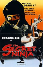 Watch Secret Ninja 0123movies