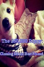 Watch The �60,000 Puppy: Cloning Man's Best Friend 0123movies