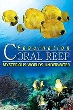 Watch Fascination Coral Reef: Mysterious Worlds Underwater 0123movies