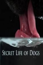 Watch Secret Life of Dog 0123movies