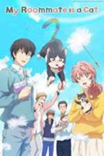 Watch My Roommate Is a Cat 0123movies