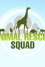 Watch Animal Rescue Squad 0123movies