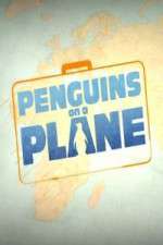 Watch Penguins on a Plane 0123movies