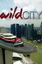 Watch Wild City 0123movies
