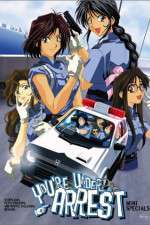 Watch You're Under Arrest 0123movies