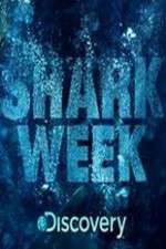 Watch Shark Week 0123movies