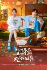 Watch Love is for Suckers 0123movies