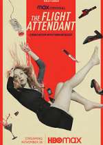 Watch The Flight Attendant 0123movies