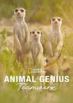 Watch Animal Genius 0123movies